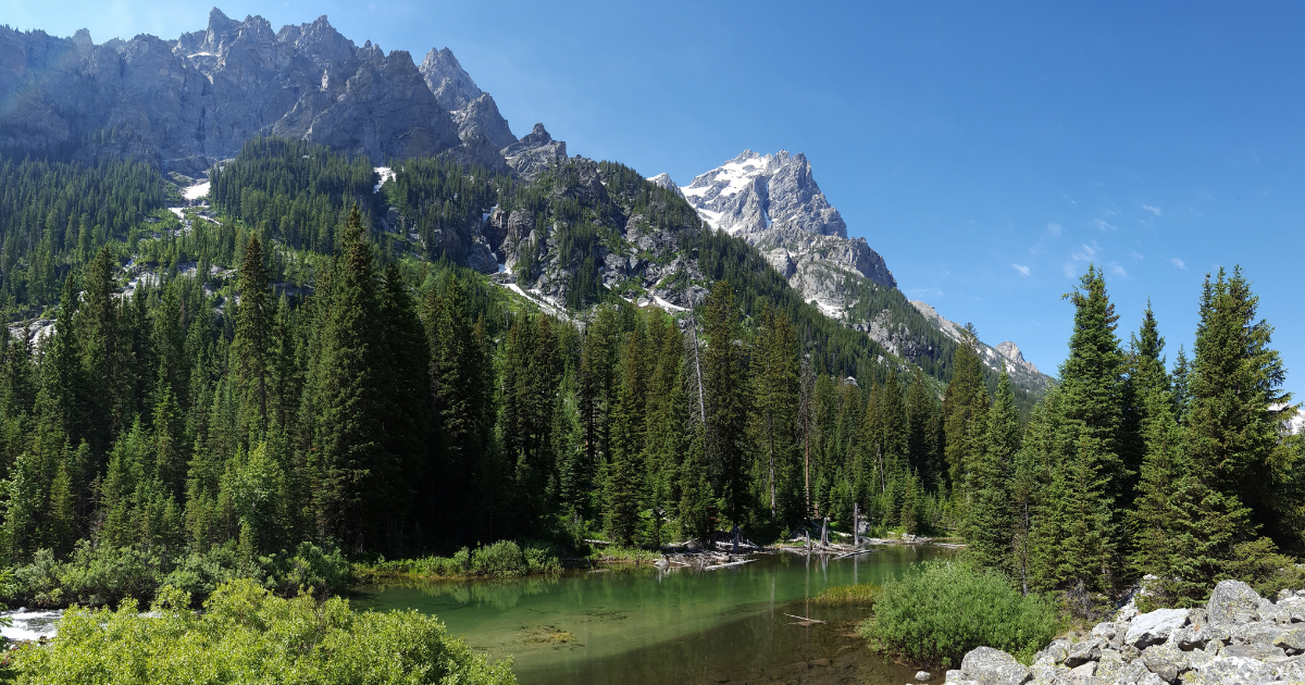 You are currently viewing Grand Teton National Park Ultimate Guide