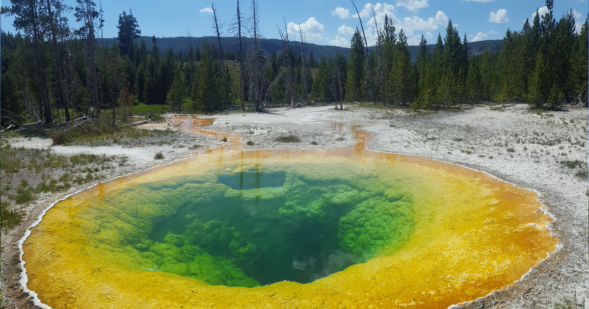 Read more about the article Yellowstone National Park Ultimate Guide
