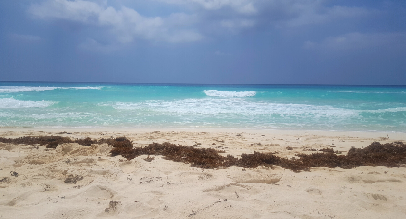 Read more about the article Top things to do in Cancún