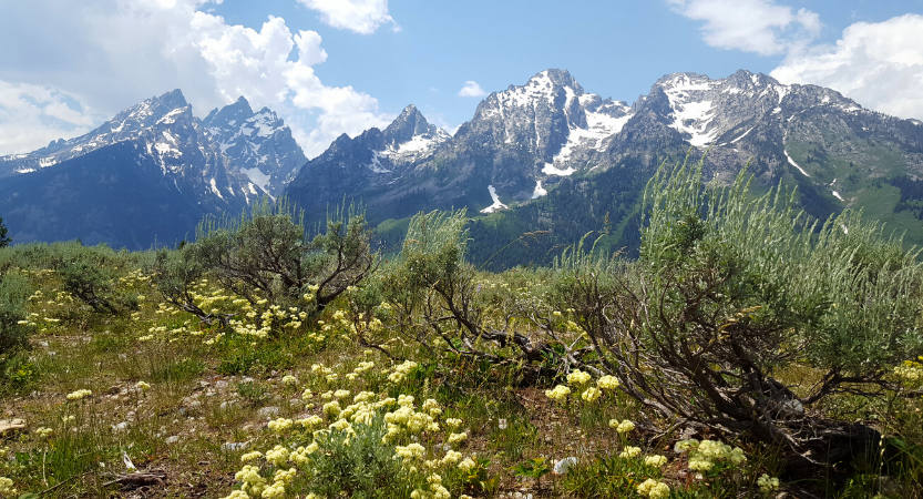 You are currently viewing Top Travel Tips on Visiting USA National Parks