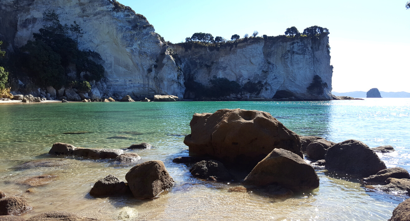 Read more about the article Top things to do in Coromandel