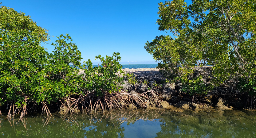 Read more about the article Biscayne National Park Ultimate Guide