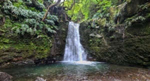 Read more about the article São Miguel Epic Waterfalls to Visit