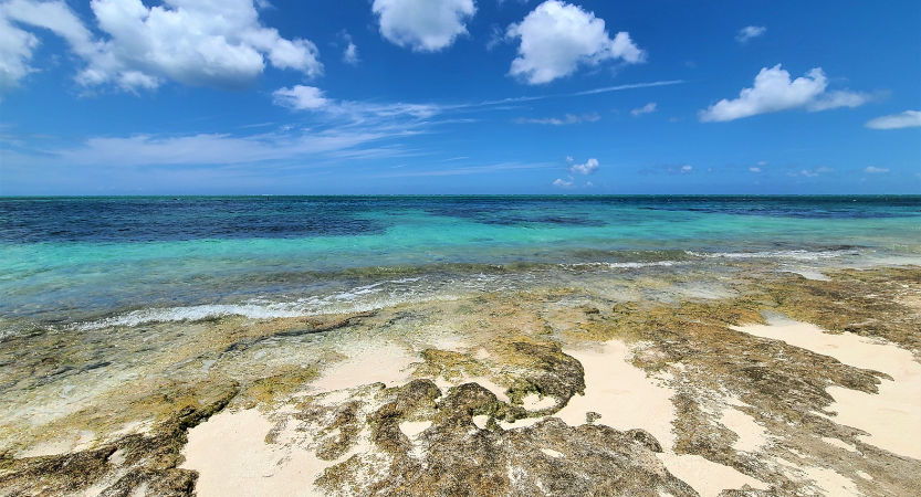 Read more about the article Turks and Caicos Ultimate Guide