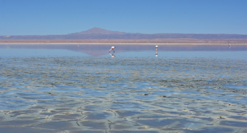 Read more about the article The Atacama 5 day Itinerary