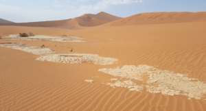 Read more about the article Top 15 things to do in Namibia