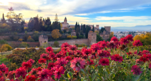 Read more about the article Ultimate Guide for Granada Spain