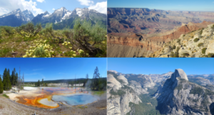 Read more about the article My US National Parks Bucket List