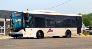 Read more about the article One Day DIY Local Bus Around Martha’s Vineyard