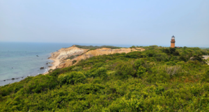 Read more about the article Top things to do in Martha’s Vineyard