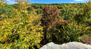 Read more about the article Island-in-the-Sky Hike at Babcock State Park