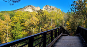 Read more about the article Guide to Visiting Seneca Rocks in West Virginia