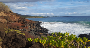 Read more about the article Top things to do in Maui, Hawaii