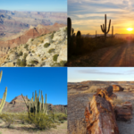 National Parks and Sites to visit Arizona
