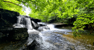 Read more about the article Must Visit Waterfalls around Tennessee