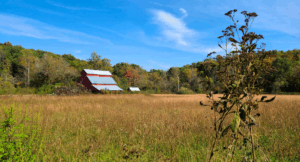 Read more about the article One Day Trip Manchester, Tennessee