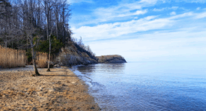 Read more about the article Calvert Cliffs State Park Ultimate Guide