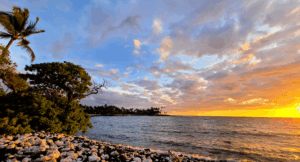 Read more about the article My Year in Review 2023