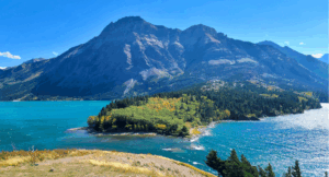 Read more about the article My Year in Review 2024