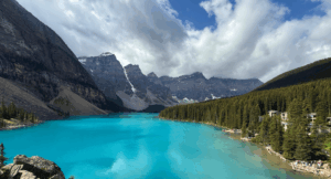 Read more about the article My Year in Review 2025