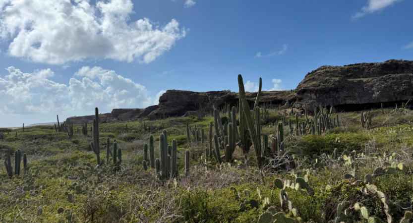 You are currently viewing One Day Tour Baby Beach and Arikok National Park in Aruba