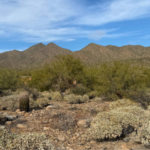 One Week Itinerary Scottsdale, Arizona