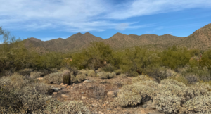 Read more about the article One Week Itinerary Scottsdale, Arizona