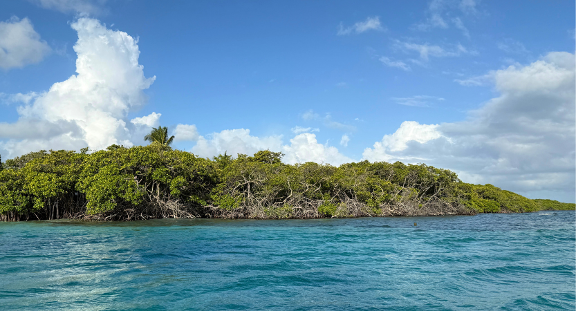 You are currently viewing Top Things to do Aruba